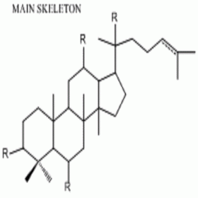 【樂(lè)美天】三七總皂苷	HPLC≥80%  100mg/支 分析標(biāo)準(zhǔn)品/對(duì)照品