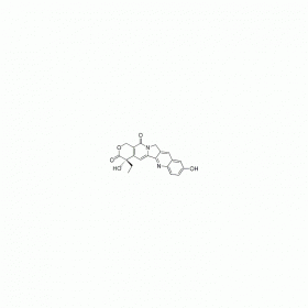 【樂(lè)美天】10-羥基喜樹(shù)堿   19685-09-7   HPLC≥99%  50mg/支 分析標(biāo)準(zhǔn)品/對(duì)照品