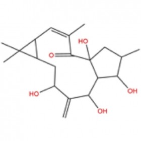 【樂(lè)美天】7-羥基千金子二萜醇  34208-98-5   HPLC≥98%   20mg/支標(biāo)準(zhǔn)品/對(duì)照品