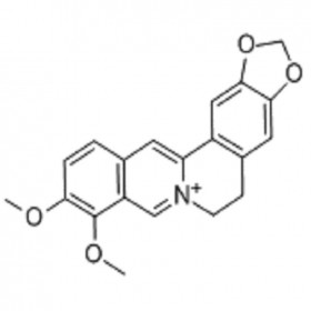 【樂(lè)美天】小檗堿  2086-83-1 HPLC≥98%  20mg/支分析標(biāo)準(zhǔn)品/對(duì)照品