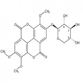 【樂美天】3-O-甲基莓苷A  62218-23-9	HPLC≥95%  5mg/支 分析標(biāo)準(zhǔn)品/對(duì)照品