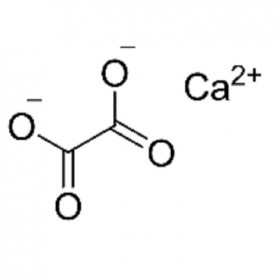 【樂美天】草酸鈣 563-72-4	HPLC≥99%	25g/支 分析標(biāo)準(zhǔn)品/對(duì)照品
