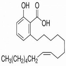 【樂美天】銀杏酚酸（15:1） 22910-60-7  HPLC≥98%   20mg/支標(biāo)準(zhǔn)品對照品
