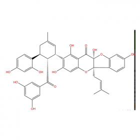 【樂美天】桑根酮C	Sanggenone C	80651-76-9	HPLC≥98% 	20mg/支分析標(biāo)準(zhǔn)品/對(duì)照品