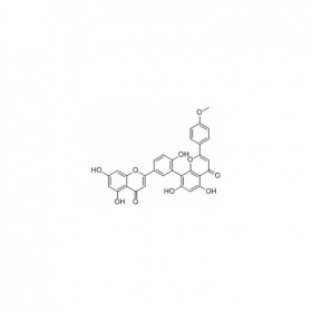 【樂美天】竹柏雙黃酮 A	Podocarpusflavone A	22136-74-9	HPLC≥98%	10mg/支分析標(biāo)準(zhǔn)品/對照品