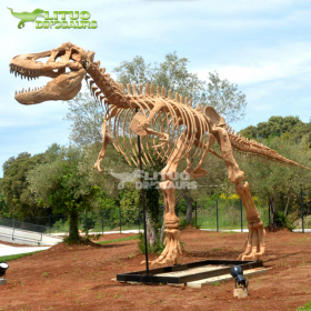 大型仿真恐龍骨架動(dòng)物化石模型樹脂工藝品擺件公園景區(qū)博物館