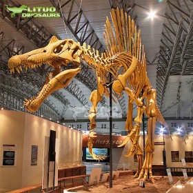 定制古生物化石 大型仿真恐龍骨架 博物館商場(chǎng)展品
