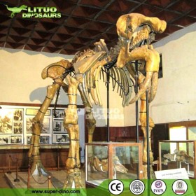 大型景區(qū)仿真恐象主題公園戶外科技博物館化石標本展覽模型