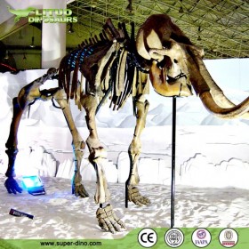 主題公園戶外科技博物館 標本展覽模型大型景區(qū)仿真螺化石