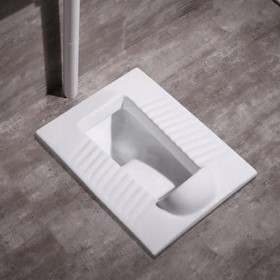 蹲便器大便器 廠家直銷 批發(fā)價(jià)格