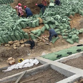 園林護(hù)坡綠化生態(tài)袋 用于河道護(hù)坡 丙綸滌綸長絲材質(zhì) 廠家批發(fā)