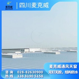 成品通風(fēng)采光器