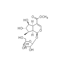 獨一味藥材提取6β-羥基-7-表-馬錢苷CAS號125410-28-8  曼思特現(xiàn)貨上市
