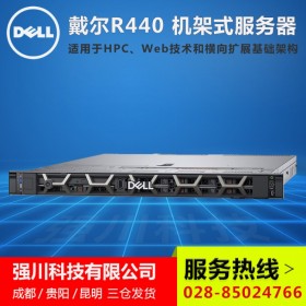 用友財務服務器_管家婆服務器_樂山市DELL服務器現(xiàn)貨促銷_R440冗余電源