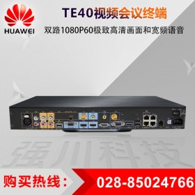 廣安市華為代理商_TE系列TE50/TE50/TE60支持雙攝像機_丟包重傳(ARQ)技術