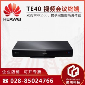 公私網(wǎng)穿越_華為視頻會議系統(tǒng) 視訊終端TE40/VPC600云臺攝像頭