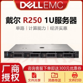 戴爾自貢內(nèi)江代理商PowerEdge R250入門級(jí)服務(wù)器 1U機(jī)架式 單路服務(wù)器