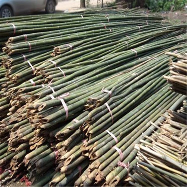 蔬菜大棚木支架 竹竿 菜架竹 長(zhǎng)短粗細(xì)可定制-潤達(dá)