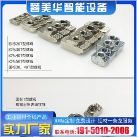 鋁型材配件 鋁材T形螺母定制 蓉美華工廠定制加工