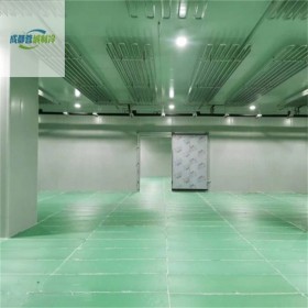 實(shí)驗(yàn)室凍庫工程 排管式冷庫 陰涼冷藏庫精選 溫度穩(wěn)定 專業(yè)服務(wù)