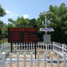 揚(yáng)塵監(jiān)測(cè)系統(tǒng)噪音實(shí)時(shí)在線監(jiān)測(cè)環(huán)境智慧工地廠家直銷(xiāo)