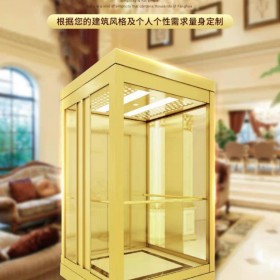 別墅電梯 觀光別墅閣樓復(fù)式躍層升降機(jī) 節(jié)能安全 帶燈光 時尚簡約