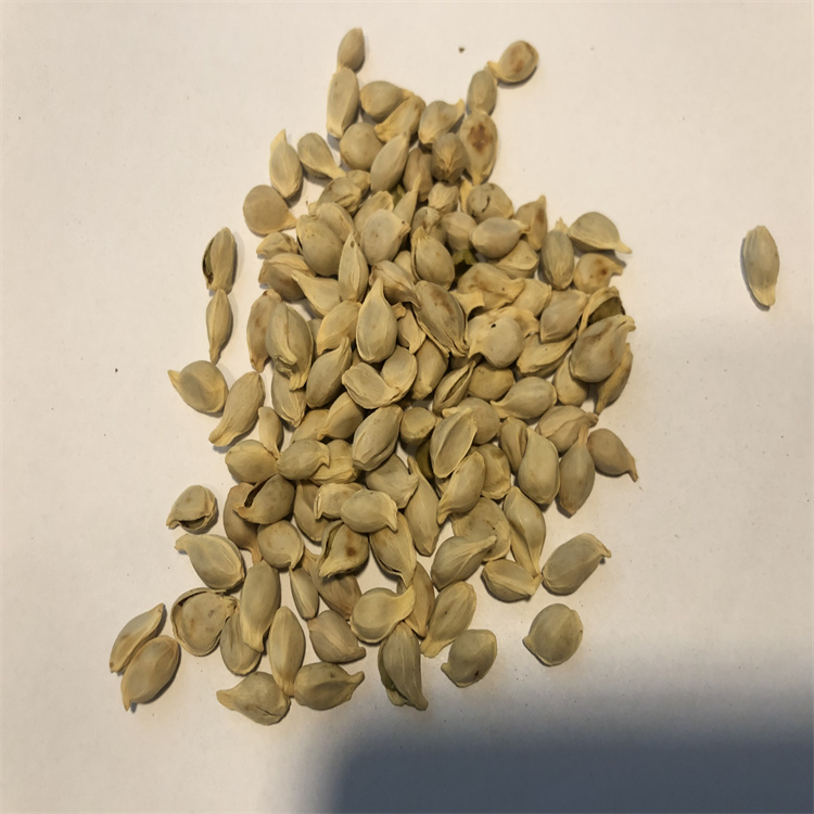 硫酸長春新堿 2068-78-2  對(duì)照品標(biāo)準(zhǔn)品 純度98% 圖譜全