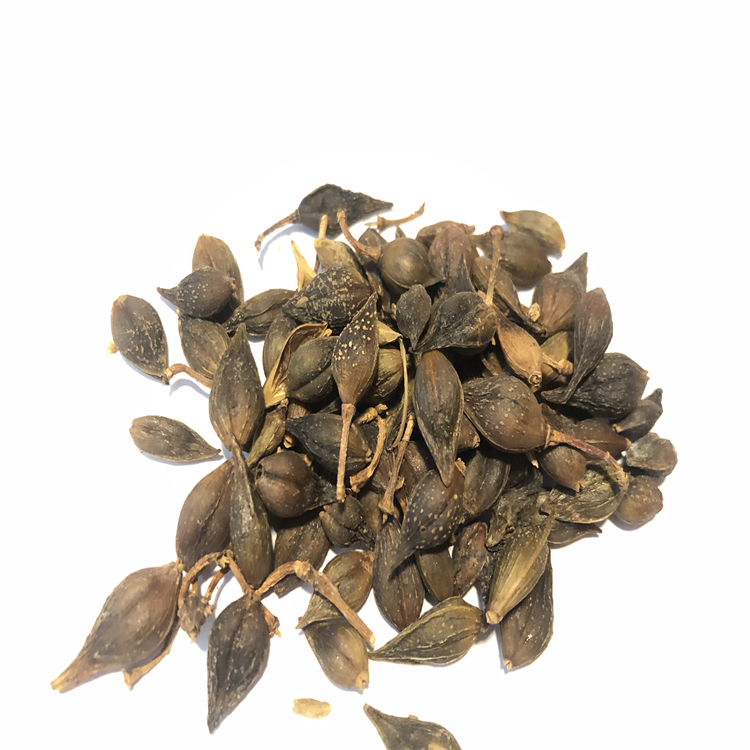 去甲當(dāng)藥醇苷 54954-12-0 科研實驗專用 高純98% 自制對照品