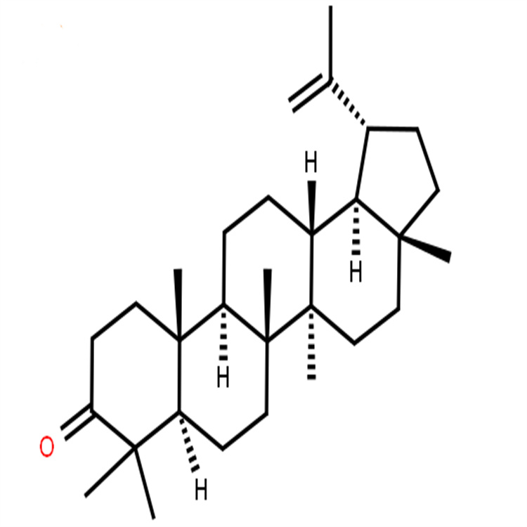 羽扇烯酮 1617-70-5 純度98% 中藥對照品標(biāo)準(zhǔn)品支持定制