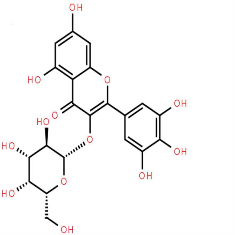 楊梅素-3-O-半乳糖苷 純度98% 中藥對照品標(biāo)準(zhǔn)品 支持定制