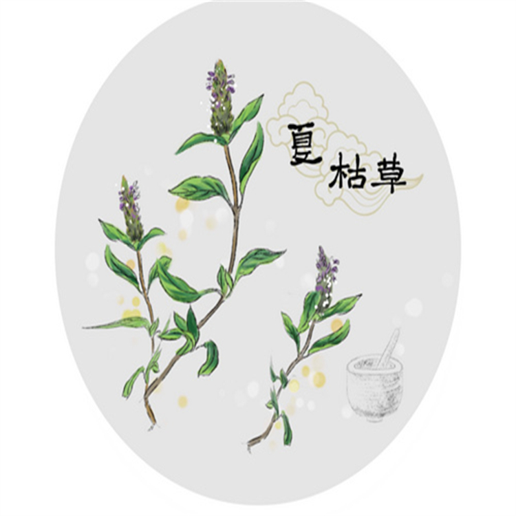 (N-1)多西他賽中間體  114915-14-9   對照品標(biāo)準(zhǔn)品 98% 圖譜全