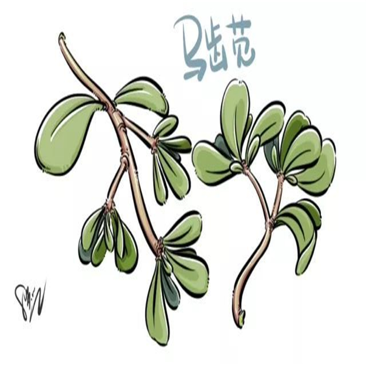 脫甲氧基脫乙酰土荊皮乙酸   實(shí)驗(yàn)室科研專用 純度高