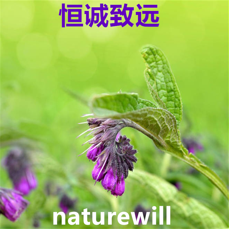 97744-96-2  純度大于98%  對(duì)照品標(biāo)準(zhǔn)品  科研專用