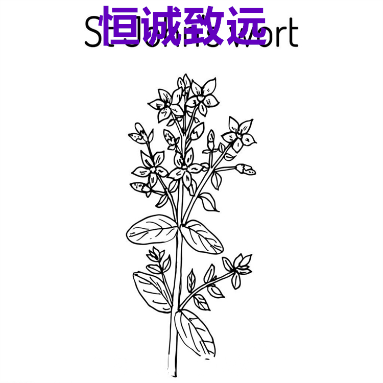 人參皂苷Rb1  41753-43-9  科研專用 98% 自制對(duì)照品
