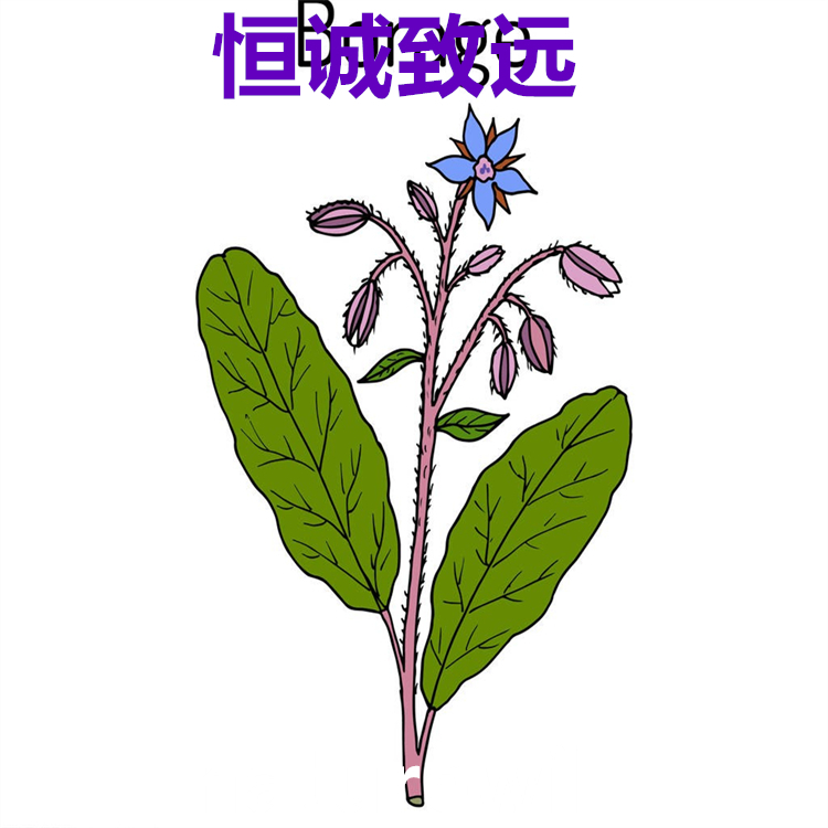 人參皂苷Rb2  11021-13-9   對(duì)照品標(biāo)準(zhǔn)品 98% 圖譜全