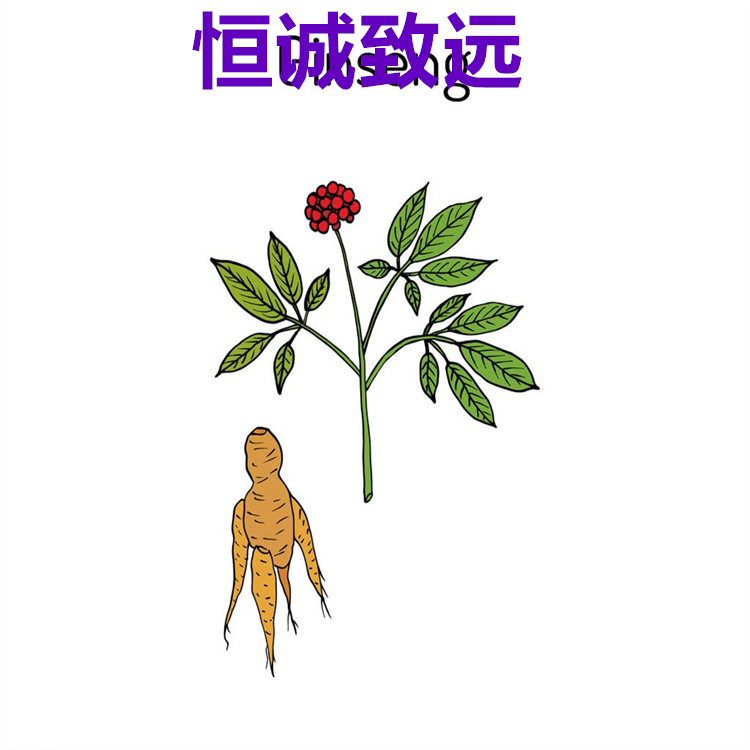 人參皂苷Rd  52705-93-8  科研專(zhuān)用 98% 自制對(duì)照品