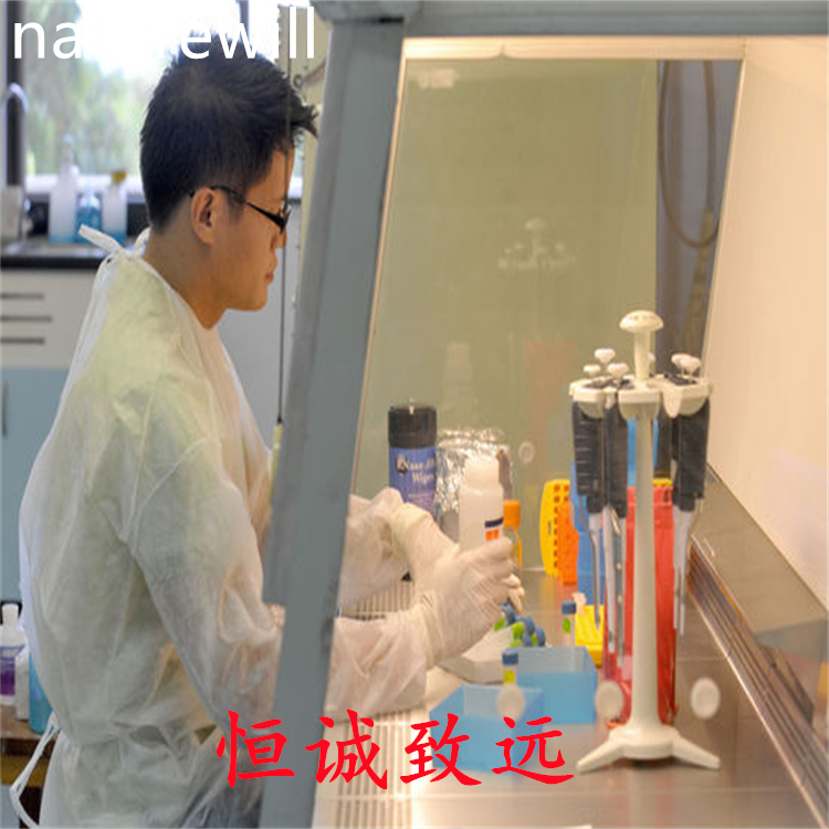 人參皂苷Rf  52286-58-5  科研用品 對(duì)照品標(biāo)準(zhǔn)品 圖譜全