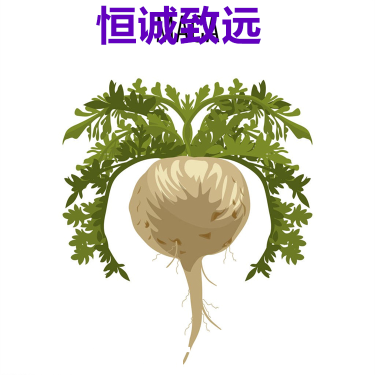 人參皂苷Rg6  自制對(duì)照品  科研專(zhuān)用 圖譜全 純度高