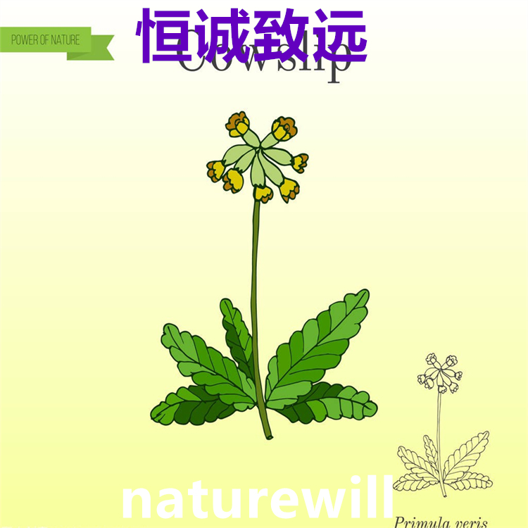 人參皂苷Rh2  78214-33-2  標(biāo)準(zhǔn)品 對(duì)照品 圖譜全 科研專(zhuān)用
