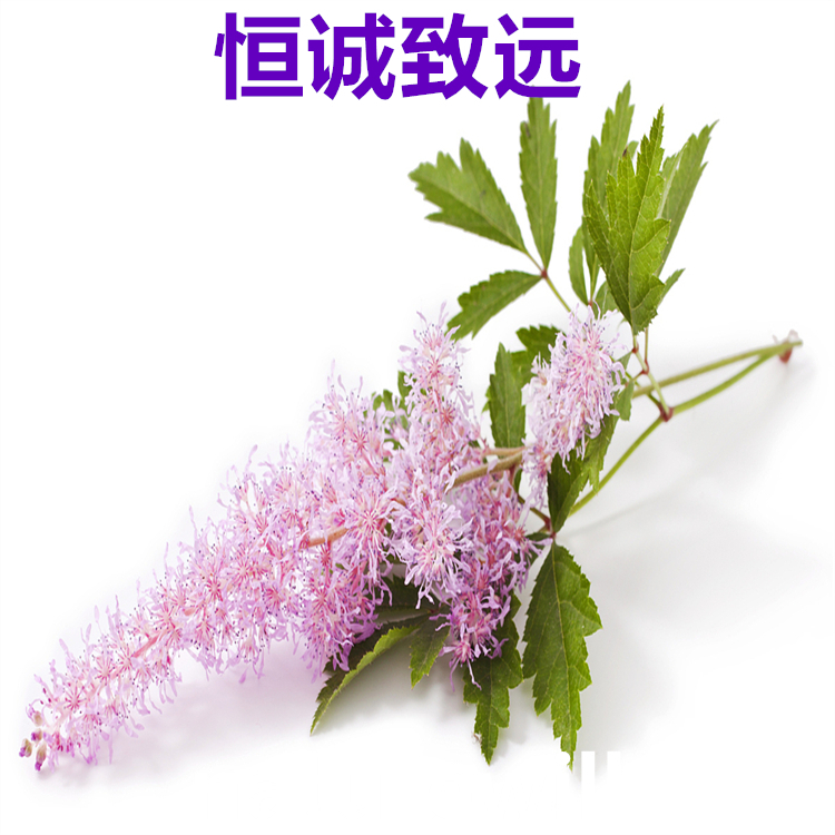 青蒿琥酯 88495-63-0  hplc98%  對照品 自制標準品