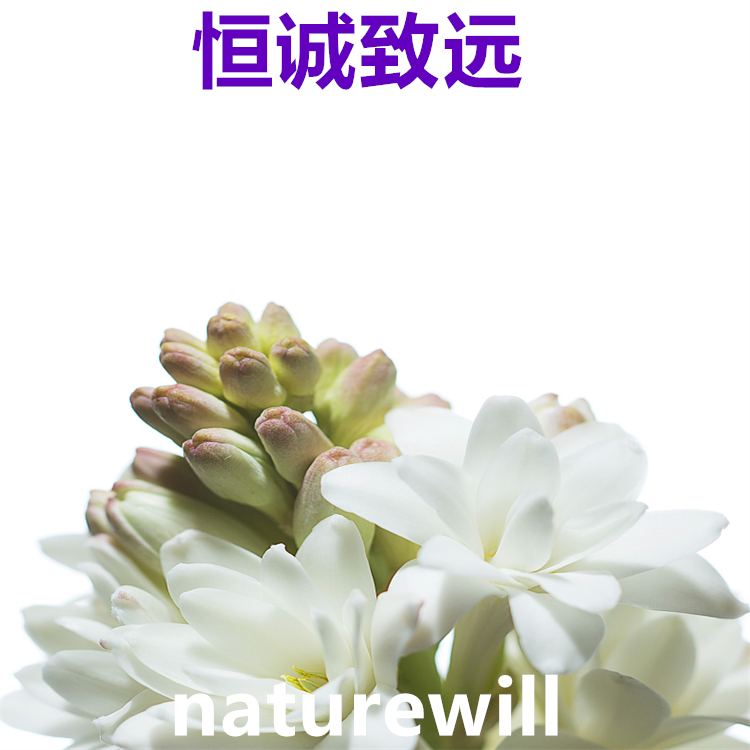 青蒿素  63968-64-9  對照品 中檢院 純度高 科研專用