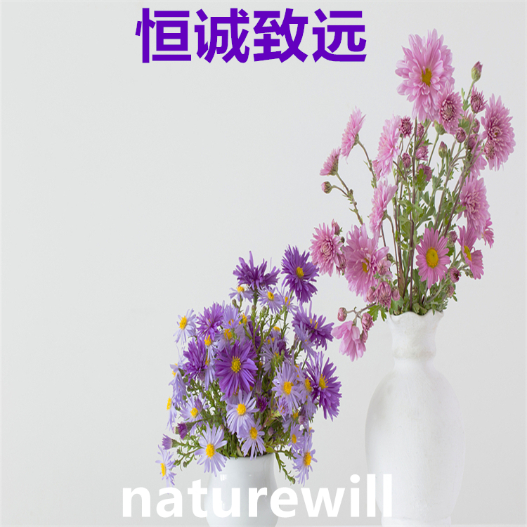 鹽酸青藤堿 6080-33-7  科研用品 對照品標準品 圖譜全