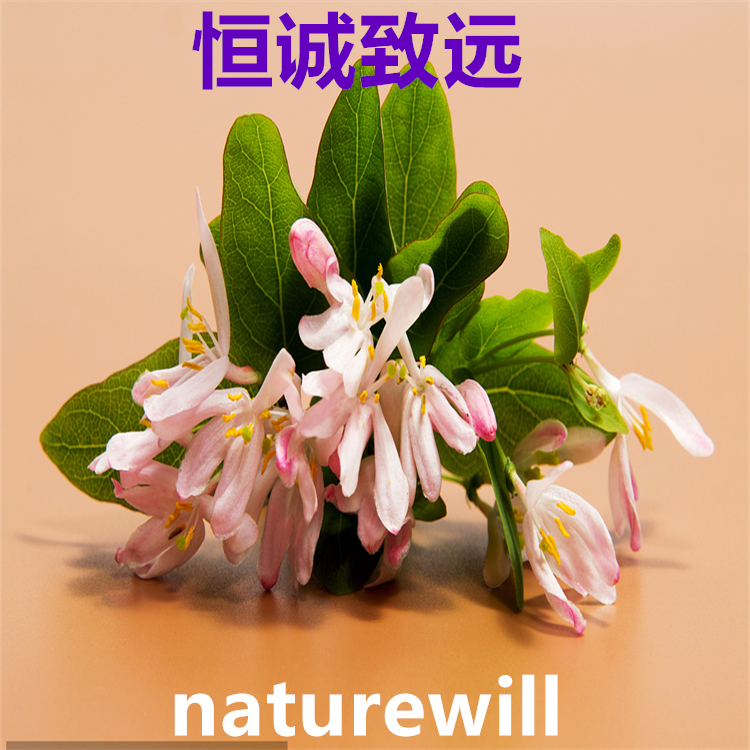 白蠟樹素  6035-49-0  中檢院 自制對照品 純度98%