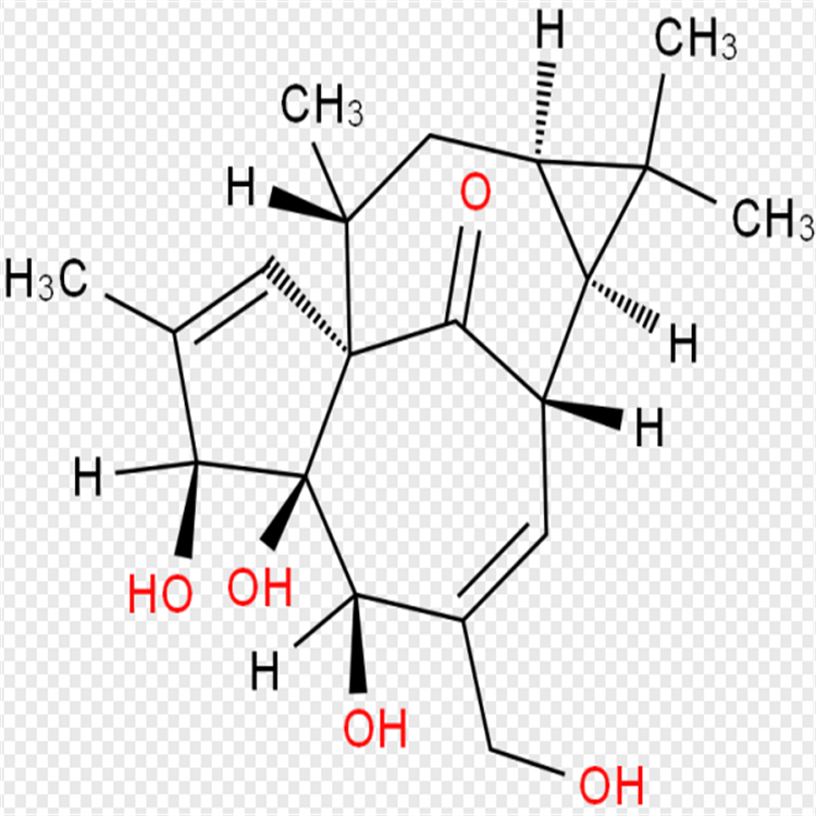 巨大戟醇  30220-46-3  科研專用 98% 自制對照品
