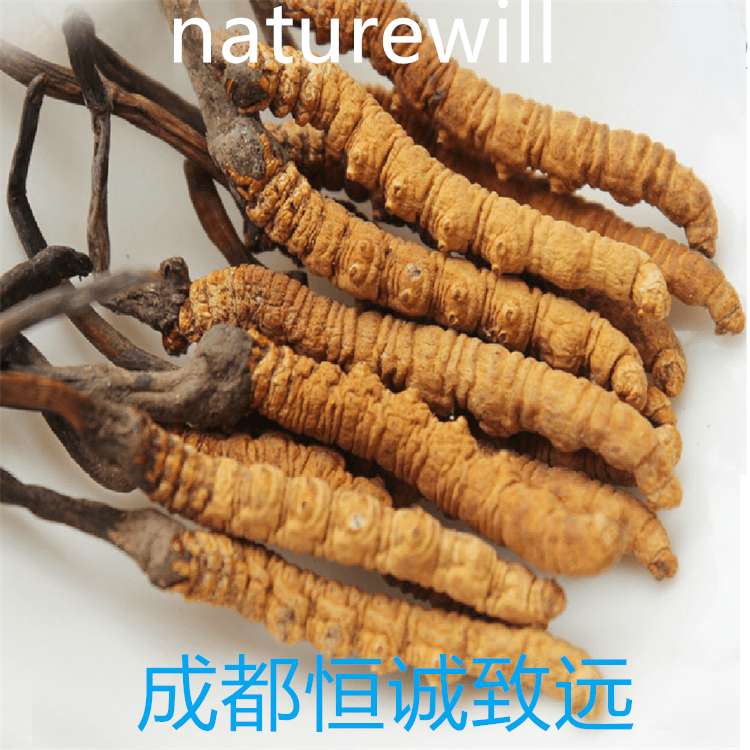 蒲公英甾醇  1059-14-9  實驗室科研專用 純度高