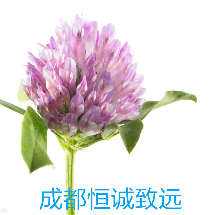 原花青素A2  41743-41-3   科研專用 98% 自制對照品