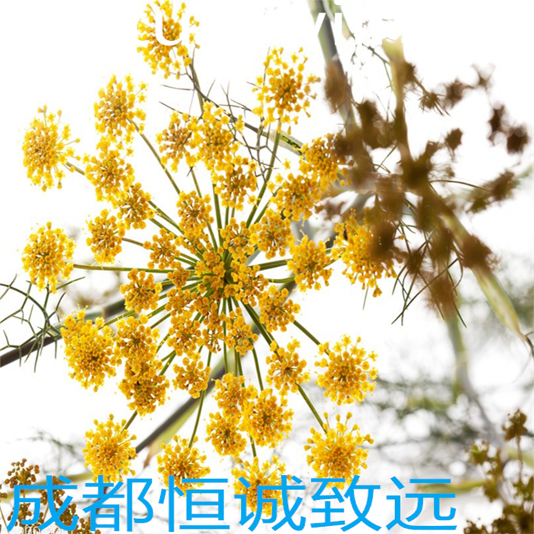 斷氧化馬錢(qián)苷酸  59472-23-0   圖譜全  高純98% 標(biāo)準(zhǔn)品