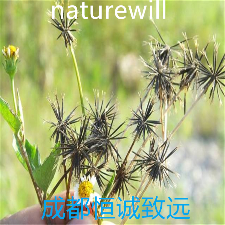 鬧羊花毒素V  37720-86-8   科研實(shí)驗(yàn)專(zhuān)用 中檢院 對(duì)照品