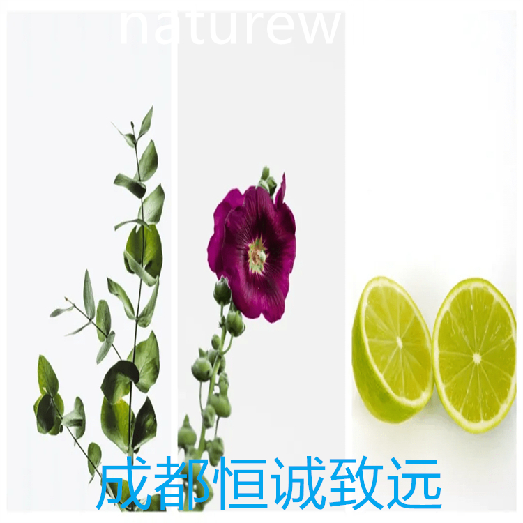 木香烴內(nèi)酯  純度大于98%    對照品標(biāo)準(zhǔn)品  圖譜全  科研專用