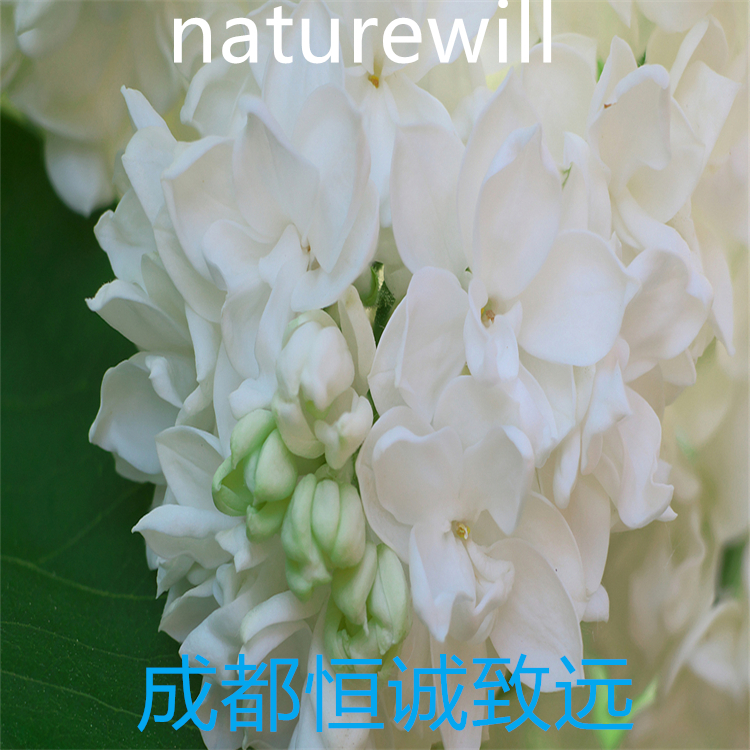 木蝴蝶苷A  57396-78-8   hplc98%  對照品 自制標(biāo)準(zhǔn)品